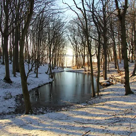 Appartementhaus Moewe Haus Moewe - 5 