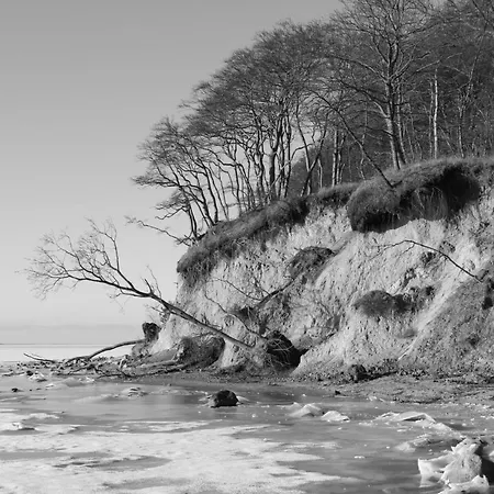 Appartementhaus Moewe Haus Moewe - 5 